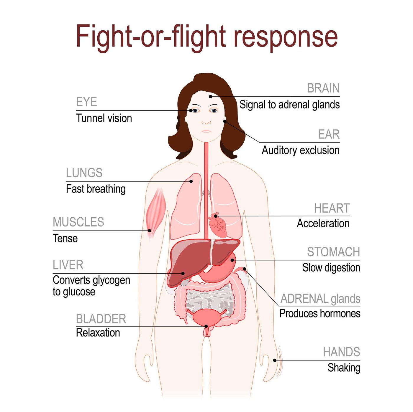 Signs You May Be Living with Unresolved Trauma (And How Therapy Helps) illustration 2